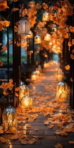 an outdoor walkway with lanterns and leaves on the ground in front of it is lit by candles