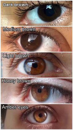 Types Of Brown Eyes, Light Brown Eyes Aesthetic, Brown Eyes Tumblr, Honey Brown Eyes, Makeup Ideas For Summer, Pretty Eyes Color, Light Brown Eyes, Queen Of Hearts Makeup