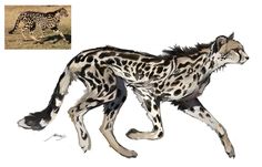 a drawing of a cheetah running in the grass with another animal behind it