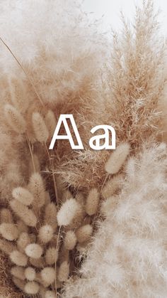 some dry grass with the letters a and a on it's bottom right corner