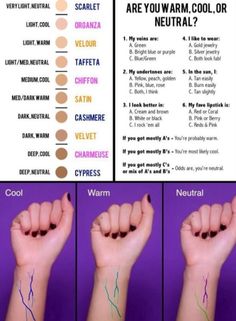 How To Dress For Your Skin Tone, Neutral Cool Skin Tone, Neutrals For Cool Skin Tone, Undertone Skin Chart Foundation, How To Determine Skin Undertone, Skin Tone Seasons Color Theory, Skin Tone Makeup, Neutral Skin Tone, Skin Color Palette