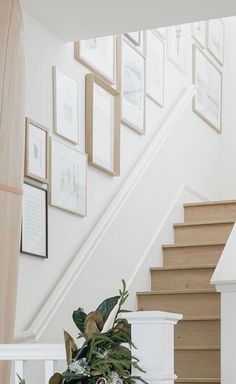 a potted plant sitting on top of a wooden table next to a stair case