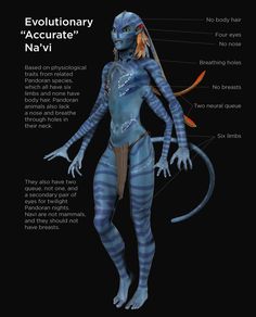 the anatomy of an alien woman in blue and white stripes, with text describing her body