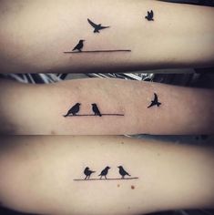 Sister tattoos birds, photo cred Dana Lathrope Sibling Tattoos For 3 Sisters 1 Brother, Bird Sibling Tattoo, Beautiful Sister Tattoos, Family Friend Tattoos, Sibling Tattoos Brother And 2 Sisters, Best Friend Different Aesthetic Tattoos, Bird Friend Tattoo, Sibling Tattoos For 3 2 Brothers 1 Sister