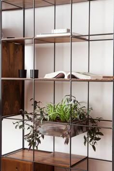 a book shelf with plants and books on it