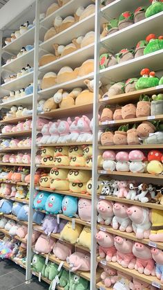 shelves filled with lots of different kinds of stuffed animals