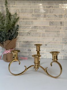 two brass candlesticks are next to a potted plant on a counter in front of a brick wall