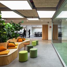 an office filled with lots of green plants and yellow couches next to each other