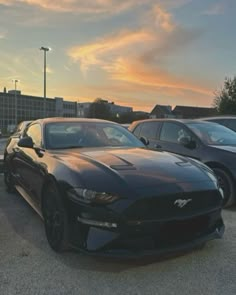 two cars parked in a parking lot at sunset