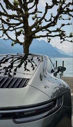 a silver sports car parked next to a tree on the side of a body of water