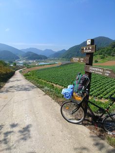 a bike parked on the side of a dirt road next to a lush green field