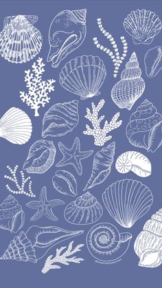 an image of sea shells and corals on a blue background with white outline art