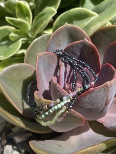 This delicate piece is part of a limited edition collection of faceted hematite and gold bracelets available as a set or individually. I created them with different options and variety in mind. The 2mm beads add interest and the details are just so pretty. Dressed up or down, this collection offers a gorgeous way to wear healing Hematite, grounding Gold, and the ever transcendent Rainbow Tourmaline. Tourmaline is an excellent stone for grounding and protection, but it's also an excellent mental 2mm Beads, Rainbow Tourmaline, Hematite Bracelet, Wrist Game, Gold Bracelets, Crystal Collection, Feminine Energy, Plexus Products, So Pretty