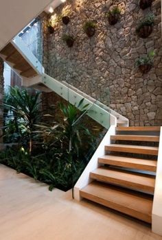 the stairs are made of wood and have plant life growing on each one handrail