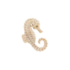 a sea horse is shown against a white background