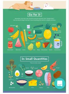 an info poster with different types of food