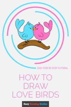 how to draw love birds with easy step - by - step instructions for beginners