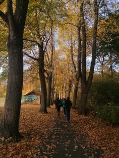 a lot of friends from denmark going on a long walk through a forest in a warm autumn weather Autumn In Denmark, Fall In Copenhagen, Autumn In Copenhagen, Denmark Autumn, Autumn Scandinavian, Legoland Denmark