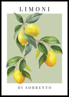 a painting of lemons on a branch with leaves and the words limooni di sorrento