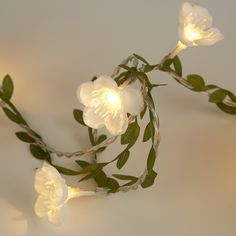 three white flowers with green leaves on a string light up the center of a room