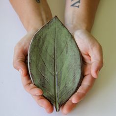 a person holding a leaf in their hands