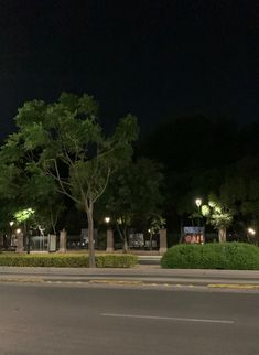 an empty street at night with trees and bushes