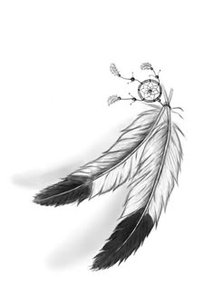 a black and white drawing of a feather with a clock on it's back