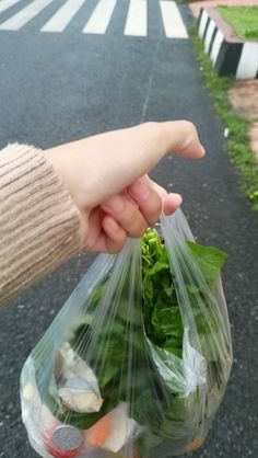 a person holding a plastic bag full of vegetables and lettuce on the street