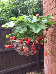 strawberries are hanging from the roof of a house with wicker baskets on it