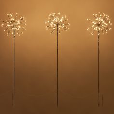 three lights are lit up in the shape of dandelions, and one light is turned on