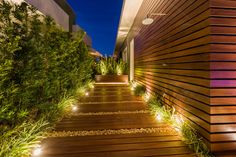 a wooden walkway leading to a building with lights on it and plants growing along the side