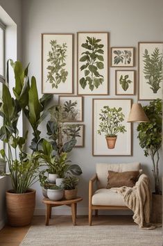 a living room filled with lots of potted plants