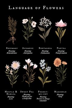 the language of flowers is written in several languages and has many different types of flowers