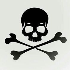 a skull and crossbones decal on a white background