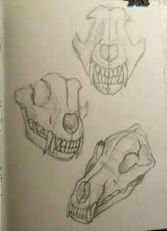 three different types of skulls are shown in this drawing