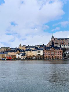 a large body of water with buildings on the shore and a bird flying over it