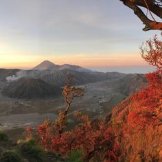 the sun is setting over some mountains with trees in the foreground and red leaves on the ground