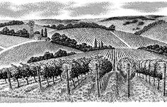 an old drawing of a vineyard in the country side, with trees and fields around it