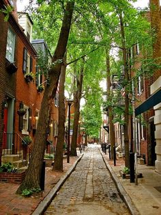 a narrow street with trees lining both sides and brick buildings on the other side, in an urban setting