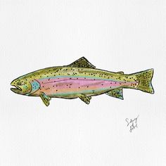 a drawing of a rainbow colored fish