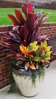 a large potted plant sitting on top of a cement floor next to a brick wall