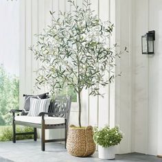 a small tree sitting next to a white couch