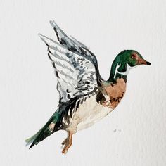 a watercolor painting of a duck flying in the air