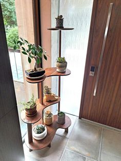 three tiered shelves with plants on them in front of a door