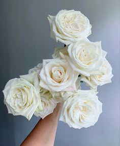 a hand holding a bouquet of white roses