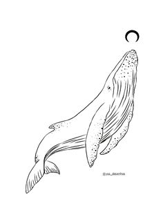 Baleia lua Beautiful Coloring Pages, Whale Drawing, Ocean Drawing, Arte Doodle, Whale Tattoos, Ocean Tattoos, Whale Art, A Whale, Dream Tattoos