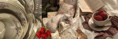 a cat sitting on a chair next to plates and strawberries