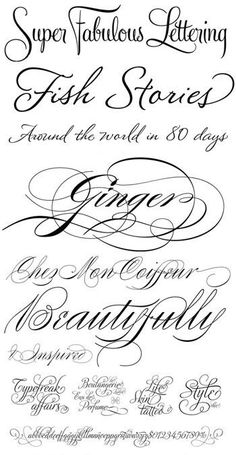 some type of calligraphy that is in different styles and font types, with the words super