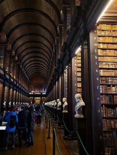 a long room filled with lots of books and busturines on the wall next to each other