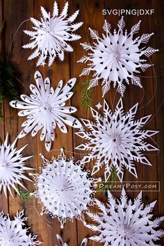 paper snowflakes are arranged on a wooden surface with pine branches and evergreen needles